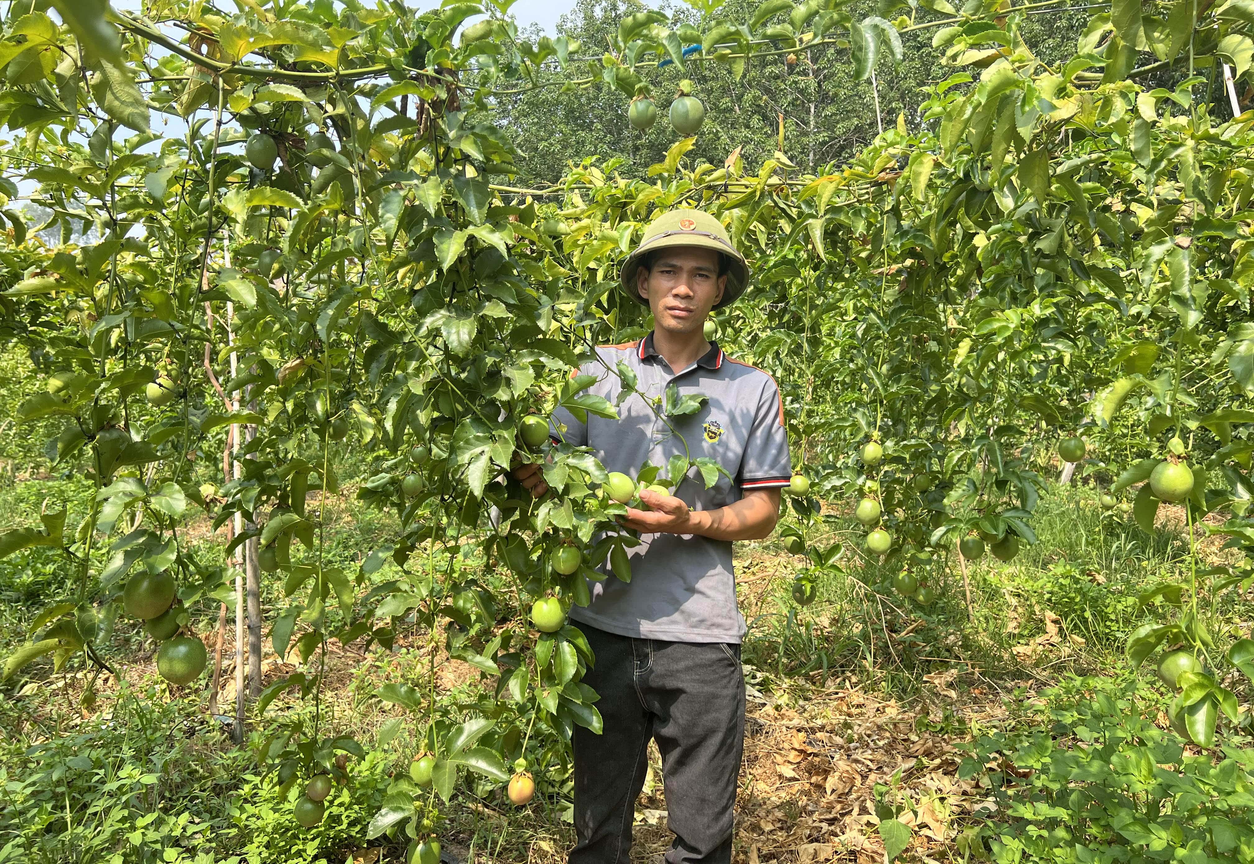 Kon Tum Đẩy mạnh phát triển kinh tế tập thể