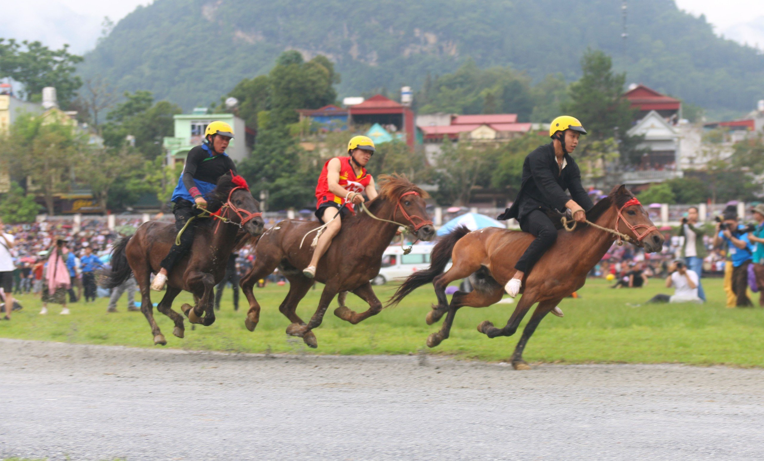Giải đua ngựa truyền thống trên cao nguyên trắng Bắc Hà