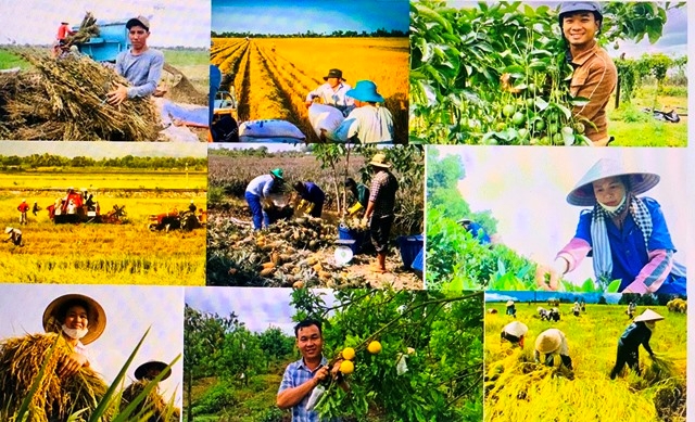 Thúc đẩy tri thức hoá nông dân