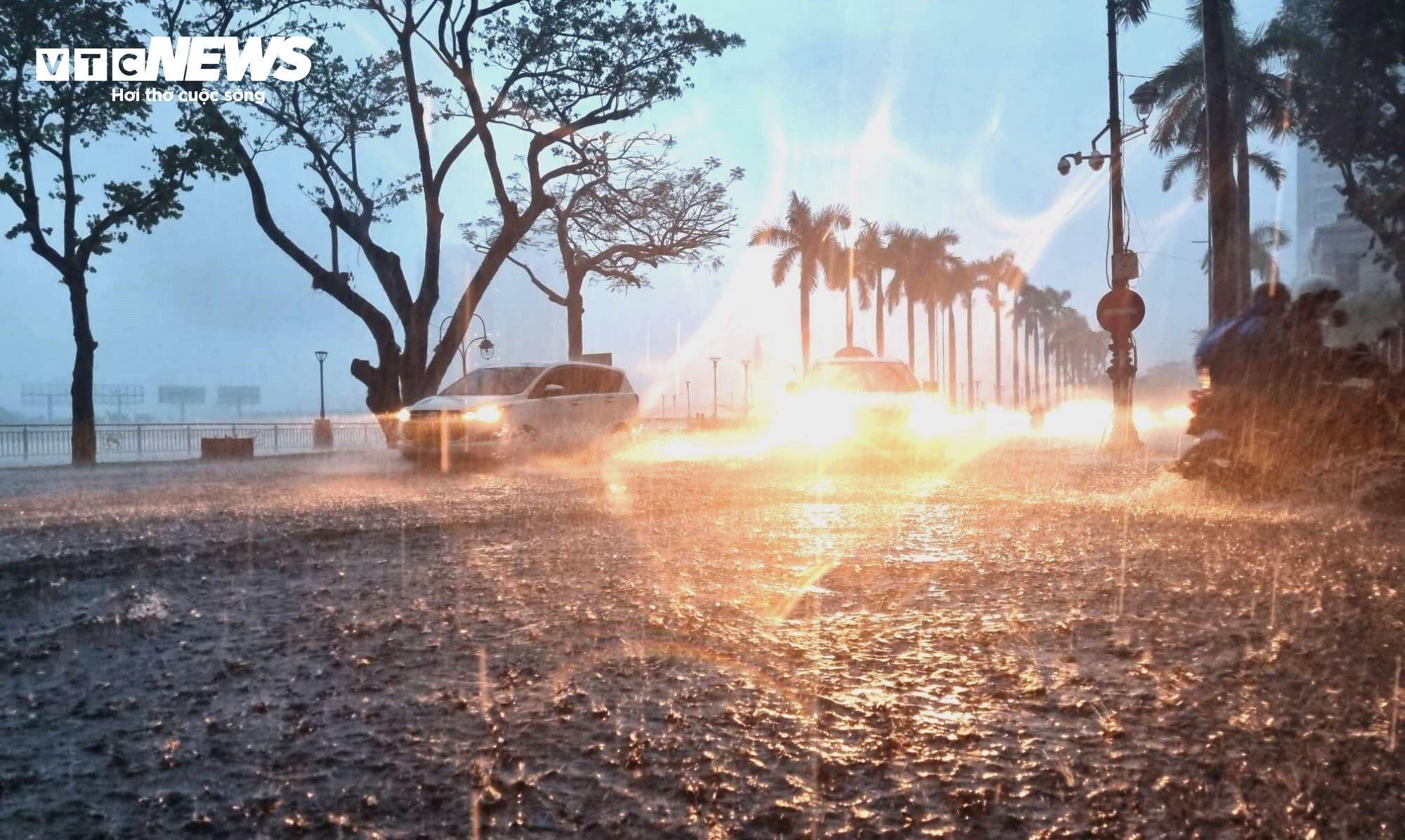 Ô tô đi trời mưa không bật đèn có vi phạm