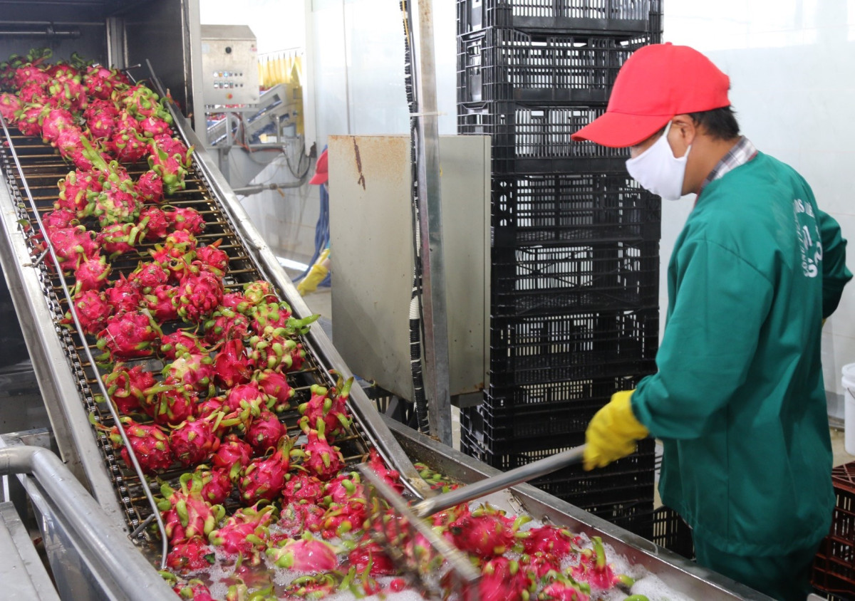 Long An Xuất nhập khẩu tăng mạnh