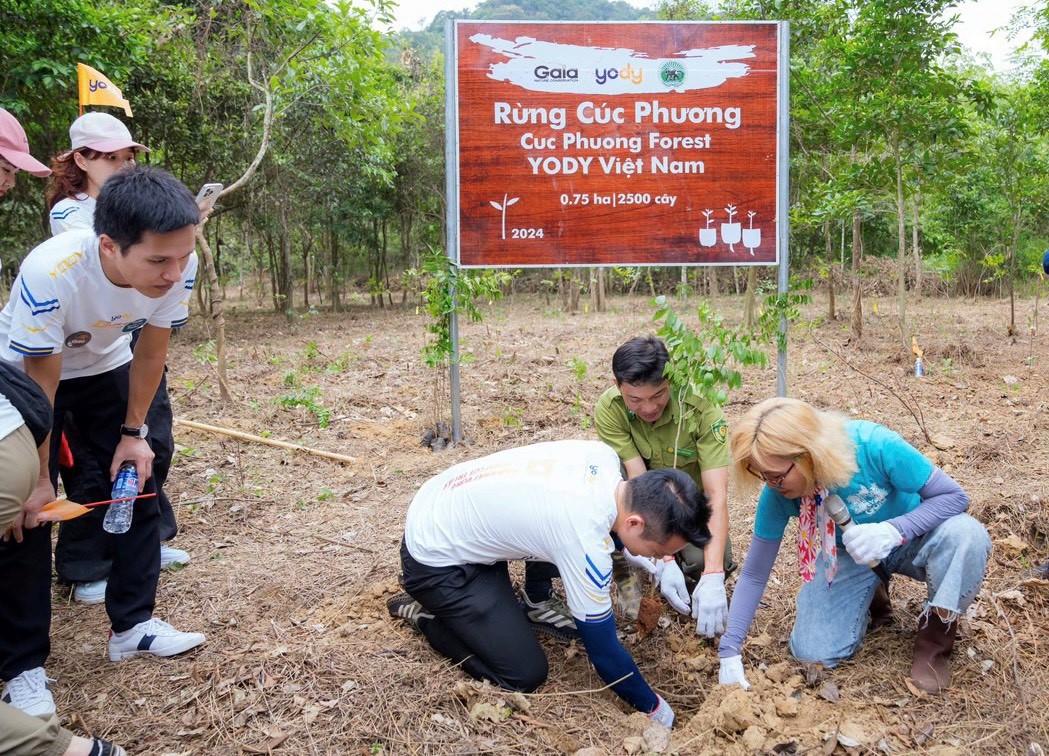 Con số 1 tỷ và hành trình phủ xanh rừng Việt Nam