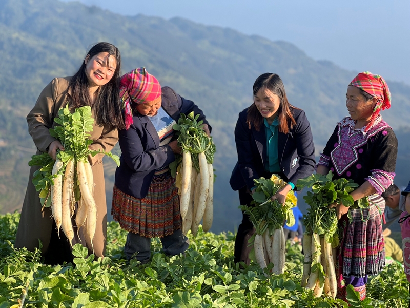 Thi đua làm theo gương Bác nơi địa đầu Tổ quốc