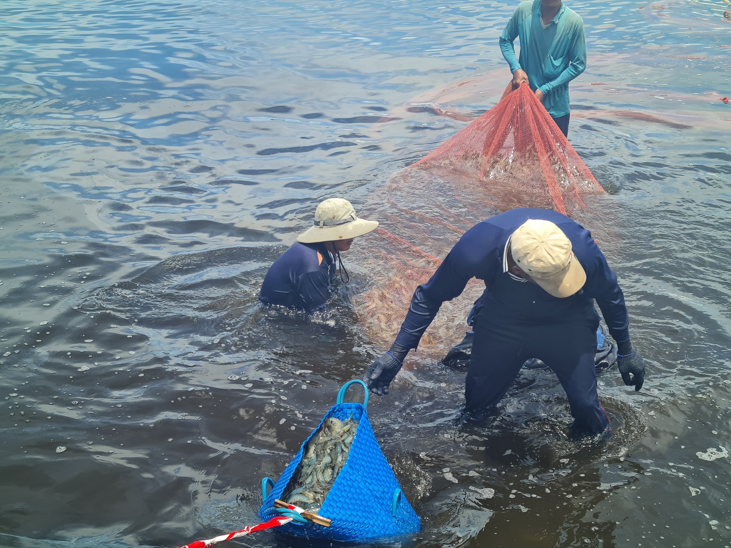 Tăng cường quản lý nuôi trồng thuỷ sản trong điều kiện biến đổi khí hậu phức tạp