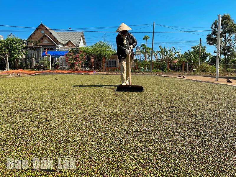 Tỉnh Đắk Lắk phấn đấu đến năm 2025 có 100 xã và 04 huyện đạt chuẩn nông thôn mới