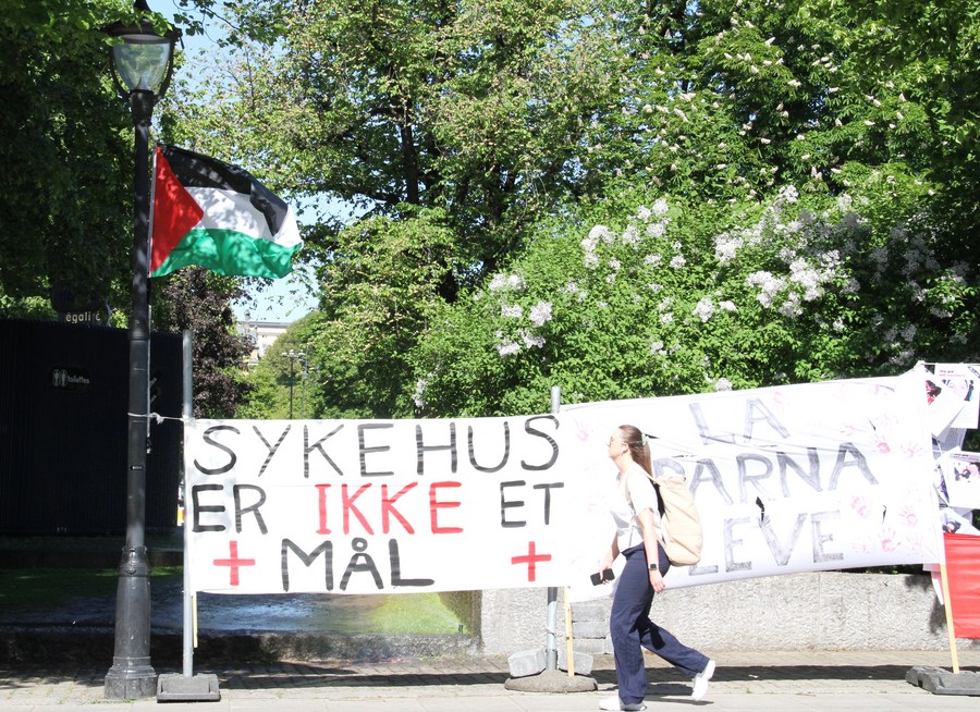 Nhiều nước châu Âu công nhận Nhà nước Palestine