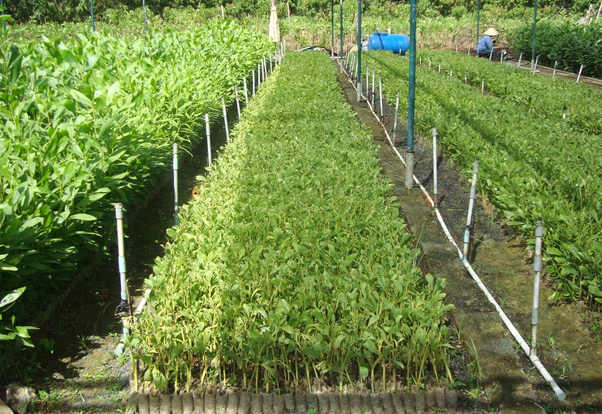 Bài 2 Bấp cập chồng bất cập