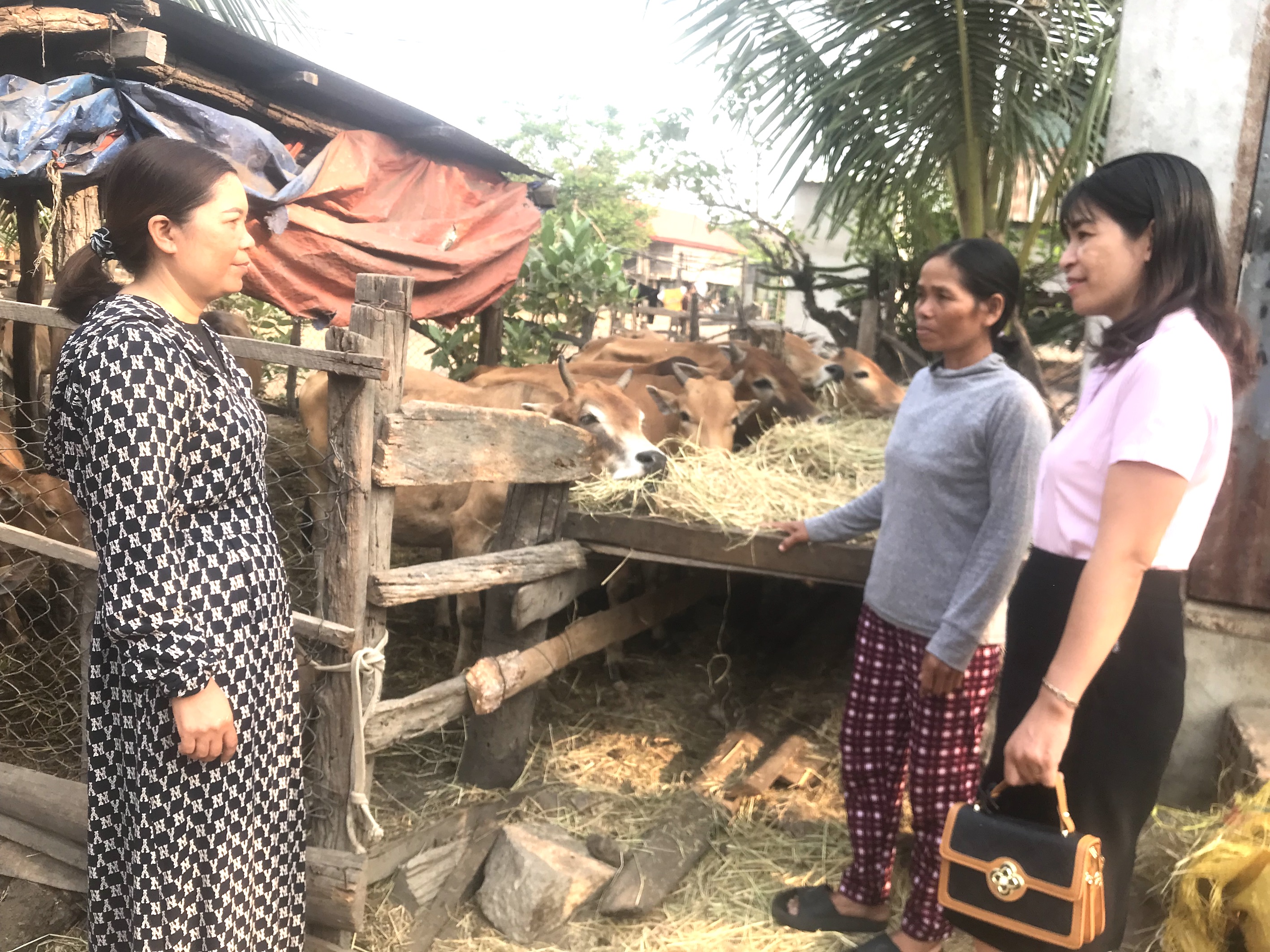 Ayun Pa phát huy hiệu quả vốn tín dụng chính sách