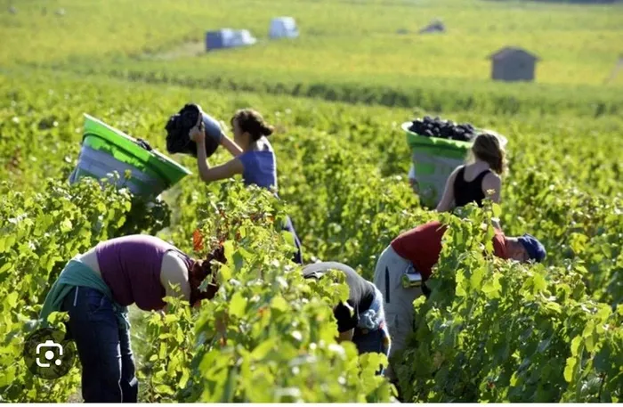 Nhiều website mạo danh tuyển lao động sang Úc, Canada làm việc