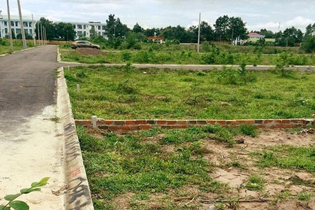 Chuyển mục đích sử dụng đất để thực hiện Dự án Cụm công nghiệp Đông Quang
