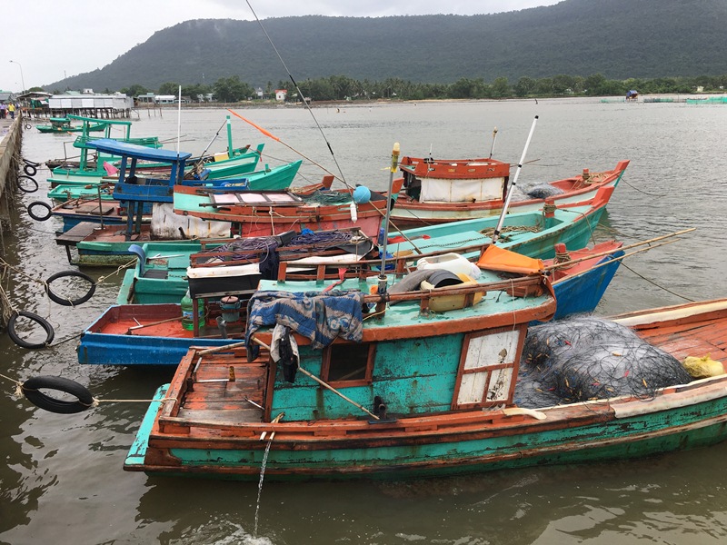 Kiên Giang Nâng cao ý thức trách nhiệm trong khai thác, bảo vệ, phục hồi nguồn lợi thủy sản