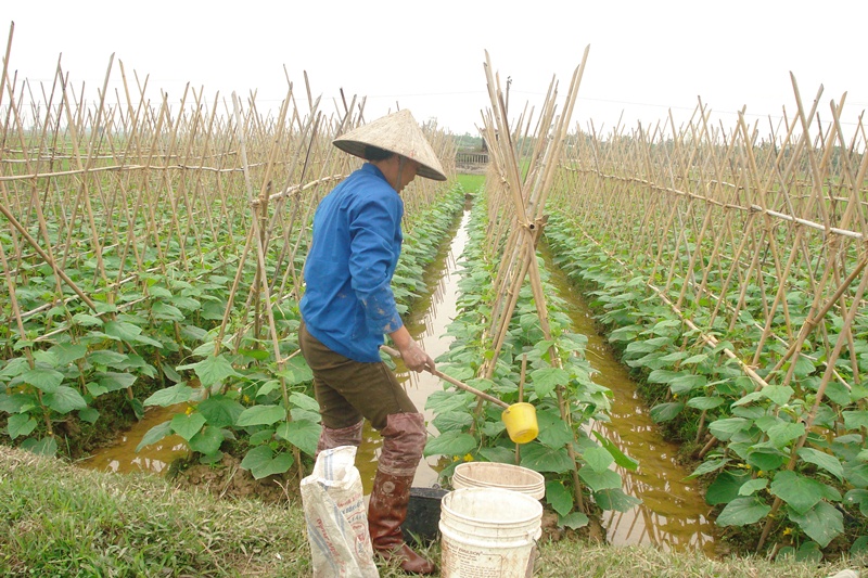 Kon Tum Đẩy mạnh chuyển đổi số trong sản xuất nông nghiệp