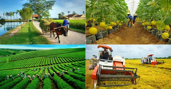 Tổ chức Tổng điều tra nông thôn, nông nghiệp năm 2025