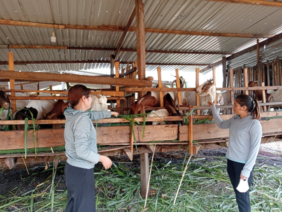 Lộc Ninh Hiệu quả vốn tín dụng chính sách ủy thác thông qua Hội Liên hiệp Phụ nữ huyện