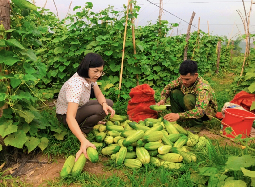 Khởi sắc nông thôn mới vùng cao Đăk Trăm