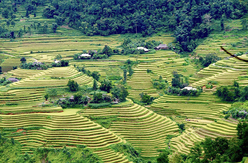 Bài 4 Xây dựng thiết chế văn hoá vùng dân tộc miền núi - Khó chồng khó