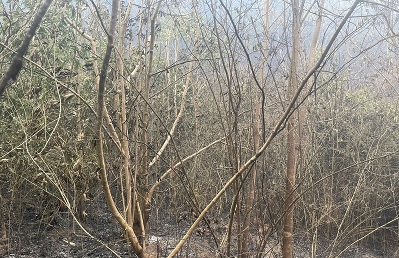 Điện Biên Hỗ trợ gia đình nạn nhân thiệt mạng khi tham gia chữa cháy