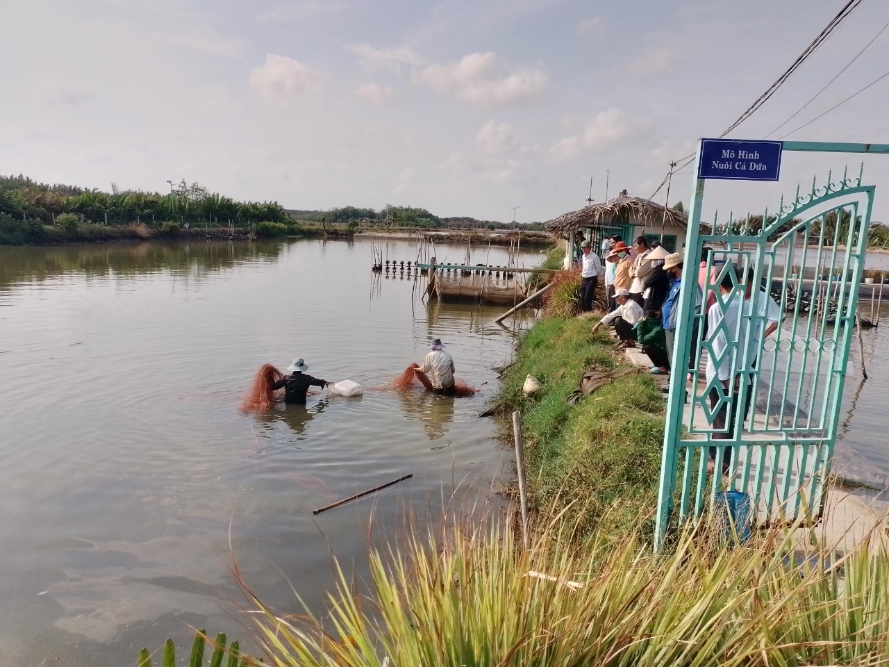Học và làm theo Bác bằng những việc làm thiết thực
