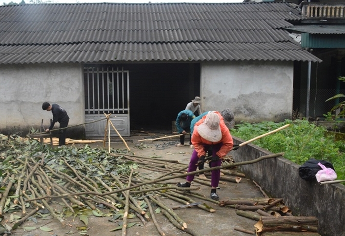 Hồng Ca - điểm sáng trong giảm nghèo của Yên Bái