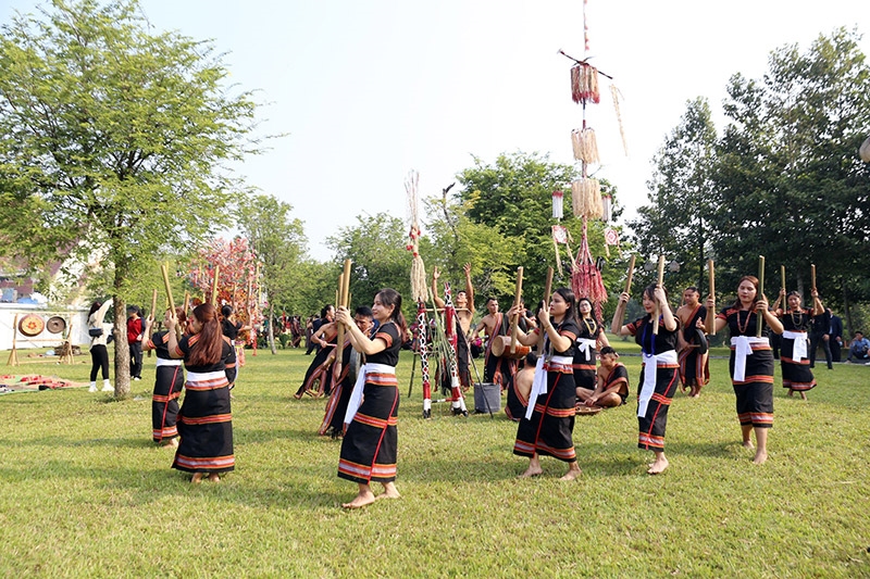 Tập huấn, bồi dưỡng chuyên môn, nghiệp vụ, truyền dạy văn hóa phi vật thể