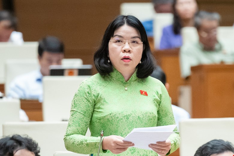 Đánh giá rủi ro, thách thức khi sớm đưa các luật vào cuộc sống