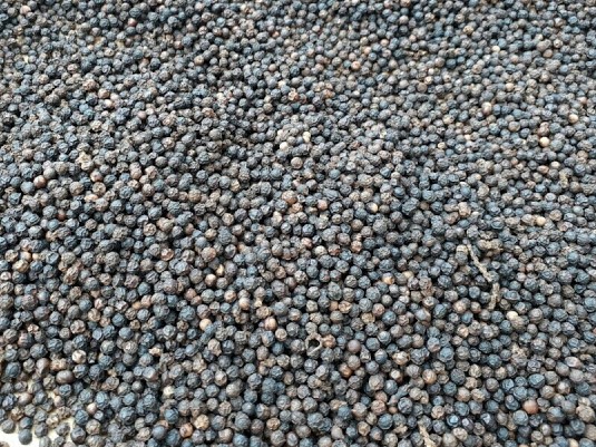 Việt Nam tiếp tục là nguồn cung hồ tiêu lớn nhất tại EU