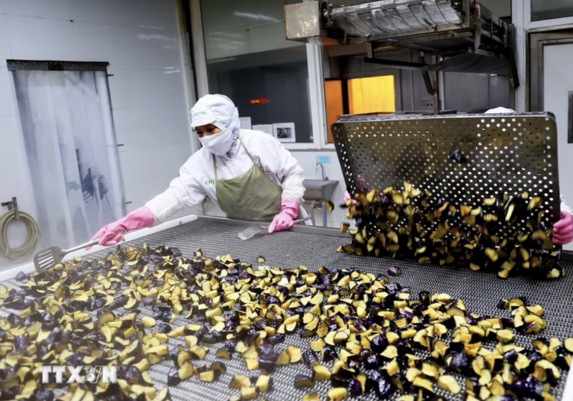 TP Hồ Chí Minh Chỉ số sản xuất công nghiệp có tín hiệu tích cực