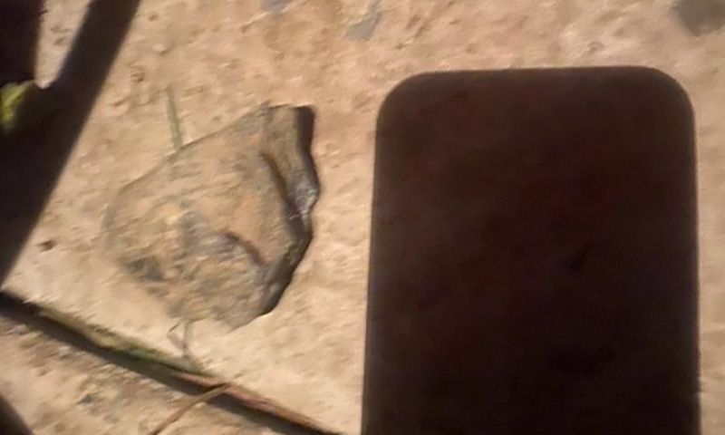 Báo động đỏ an toàn chạy tàu