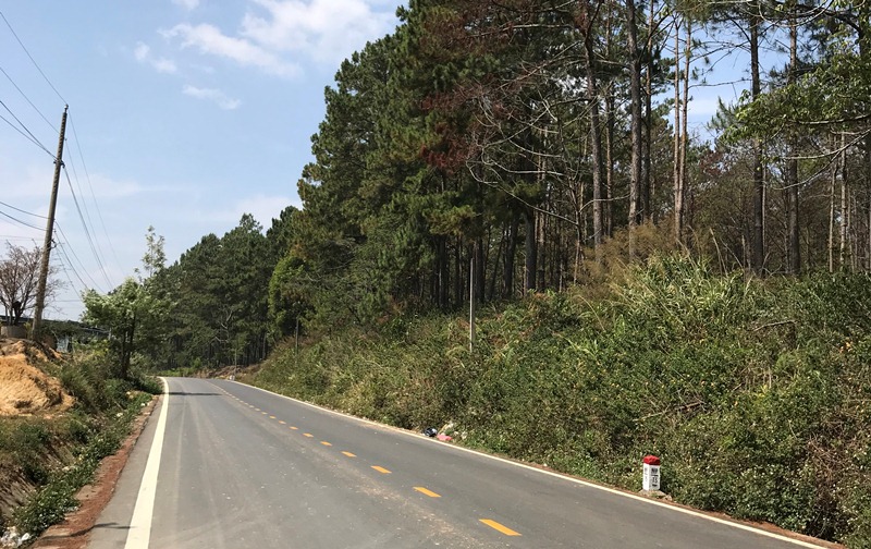 Lâm Đồng tập trung phát triển hạ tầng giao thông đô thị