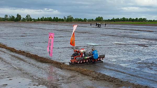 Phát triển bền vững một triệu hecta chuyên canh lúa chất lượng cao