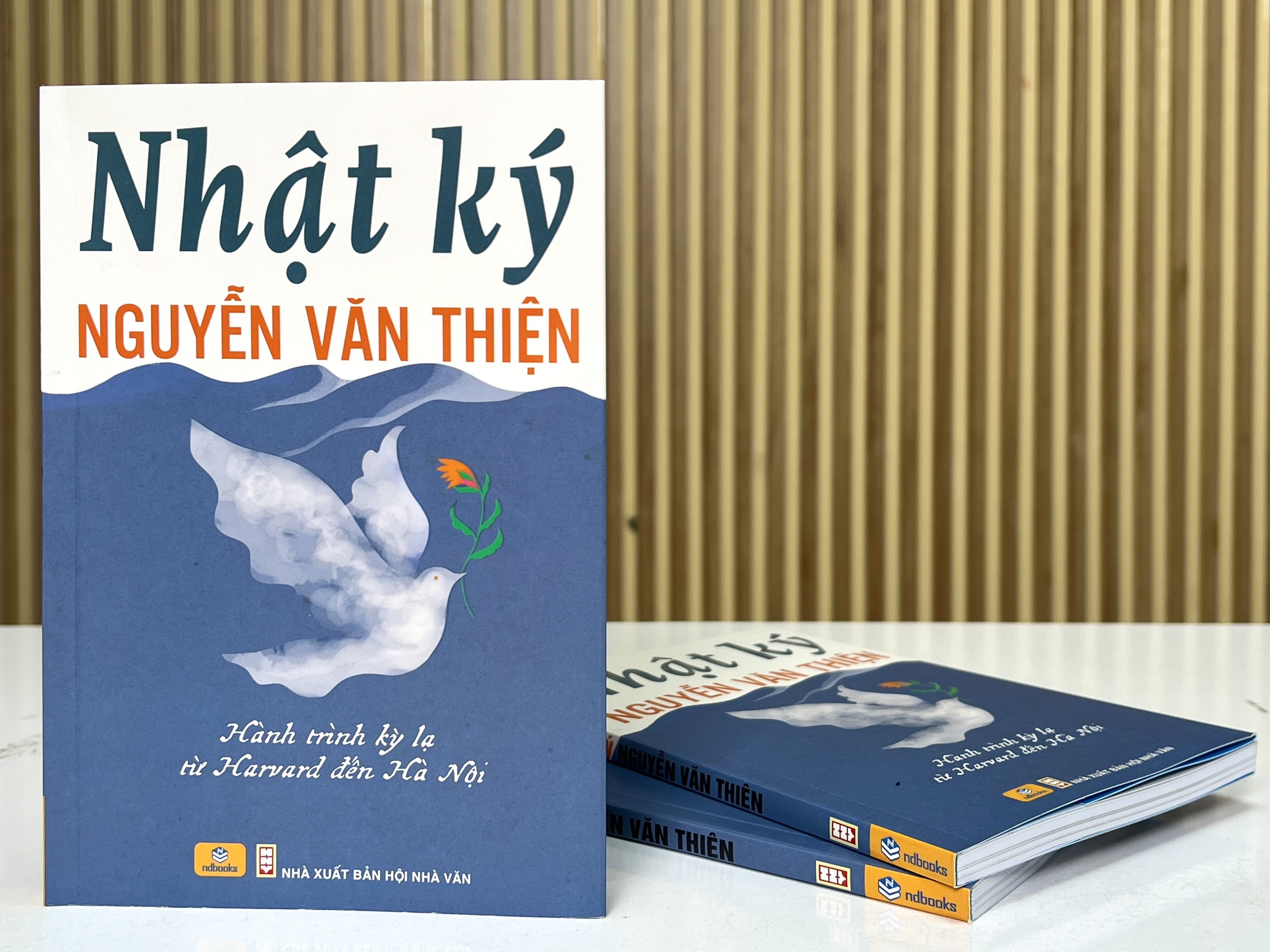 “Nhật ký Nguyễn Văn Thiện - Hành trình kỳ lạ từ Harvard đến Hà Nội