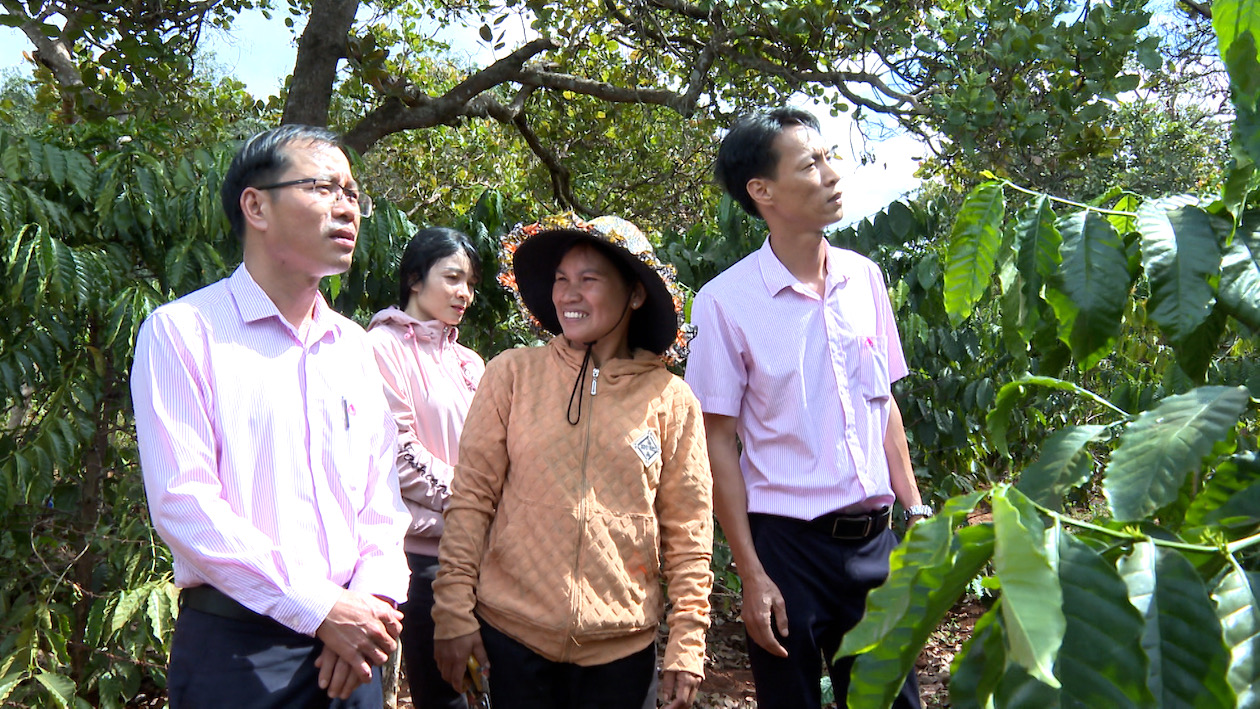 Tín dụng chính sách góp sức đưa vùng biên giới Đức Cơ khởi sắc