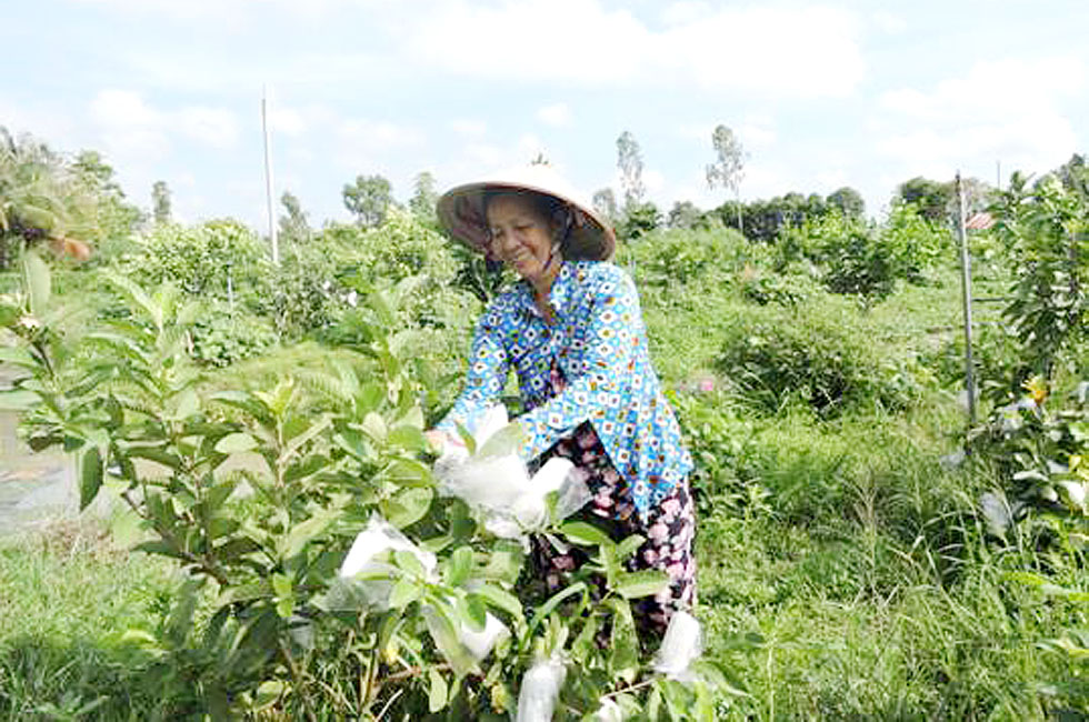 Các cấp ủy đảng nâng cao nhận thức hơn nữa về ý nghĩa của tín dụng chính sách xã hội