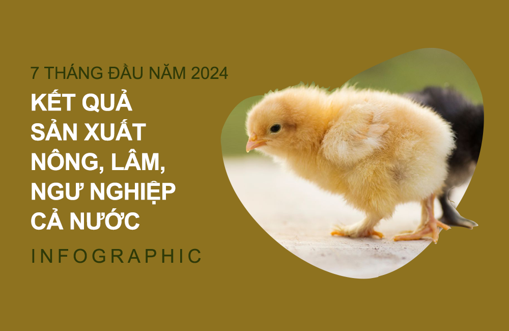 [Infographic] Sản lượng thủy sản 7 tháng ước đạt 5 225,8 nghìn tấn