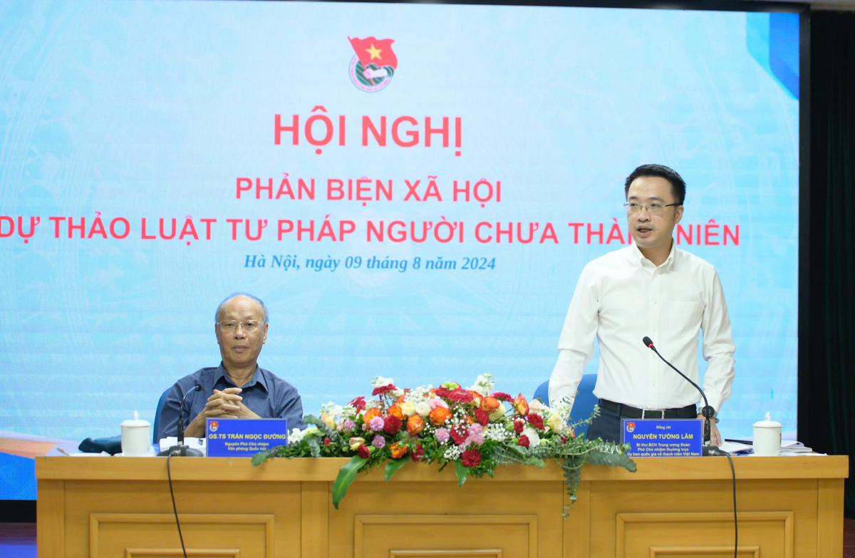 Phản biện xã hội dự thảo Luật Tư pháp người chưa thành niên