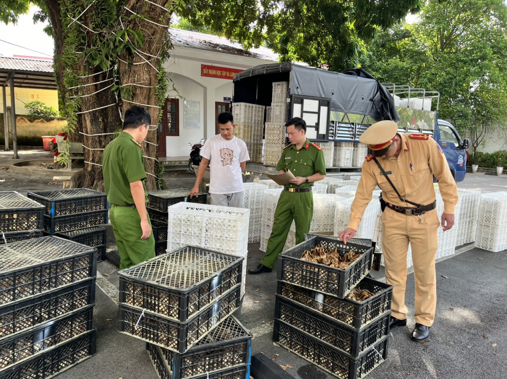 Quảng Ninh Thu giữ 24 nghìn quả trứng gà, vịt không rõ nguồn gốc