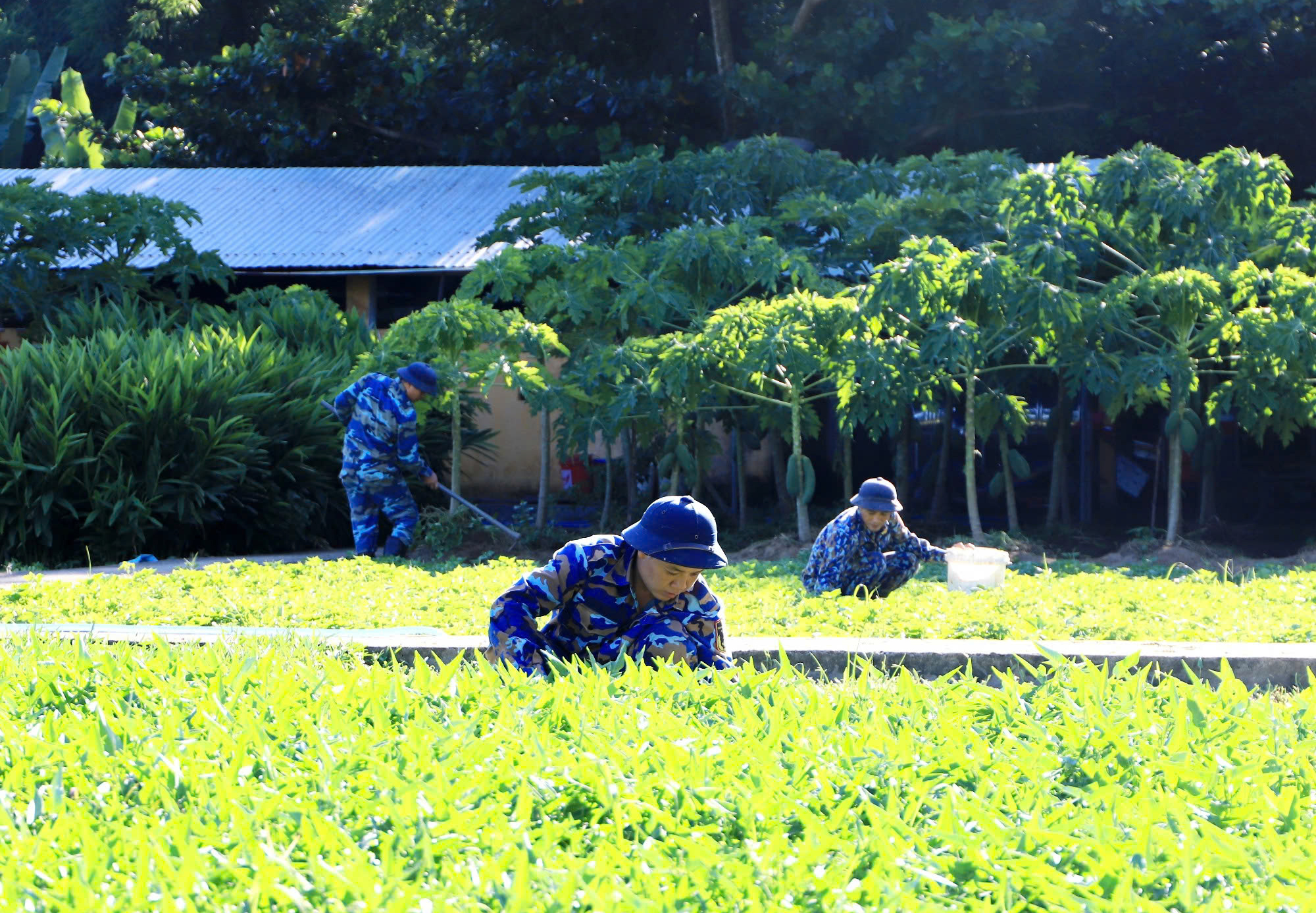 Lữ đoàn 161, Vùng 3 Hải quân Nuôi quân giỏi, sẵn sàng chiến đấu cao