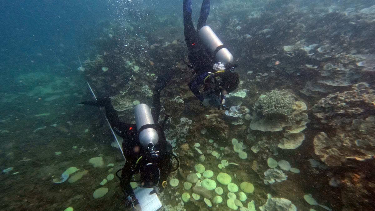 Thu gom hàng tấn rác dưới đáy biển Côn Đảo