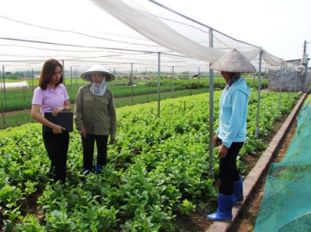 Hà Nội Hiệu quả các chương trình cho vay giải quyết việc làm đối với chương trình mục tiêu quốc gia về xây dựng nông thôn mới