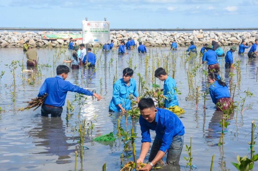 Chương trình “Hành động vì một Việt Nam xanh” trồng thêm 120 000 cây xanh tại Cà Mau