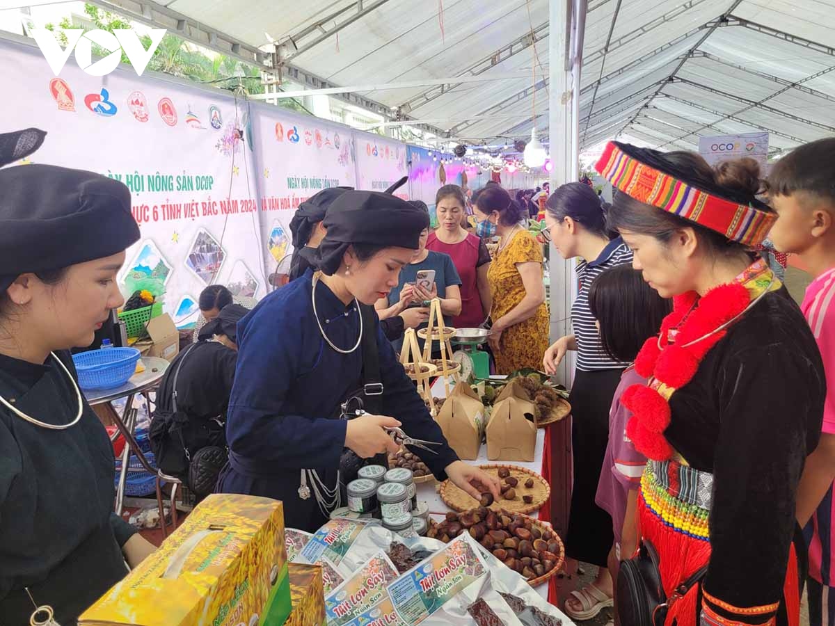 Ngày hội nông sản OCOP và văn hóa ẩm thực vùng Việt Bắc