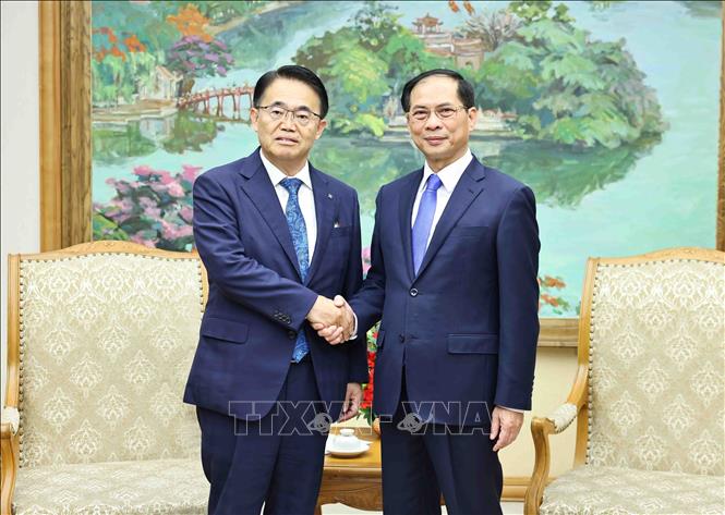 Phó Thủ tướng, Bộ trưởng Bộ Ngoại giao Bùi Thanh Sơn tiếp Thống đốc tỉnh Aichi Nhật Bản