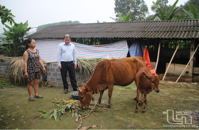 Đa dạng hóa sinh kế, triển khai nhiều mô hình giảm nghèo ở Định Hóa