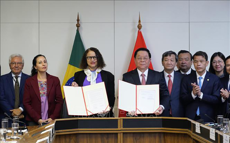 Thúc đẩy quan hệ Việt Nam - Brazil phát triển lên tầm cao mới