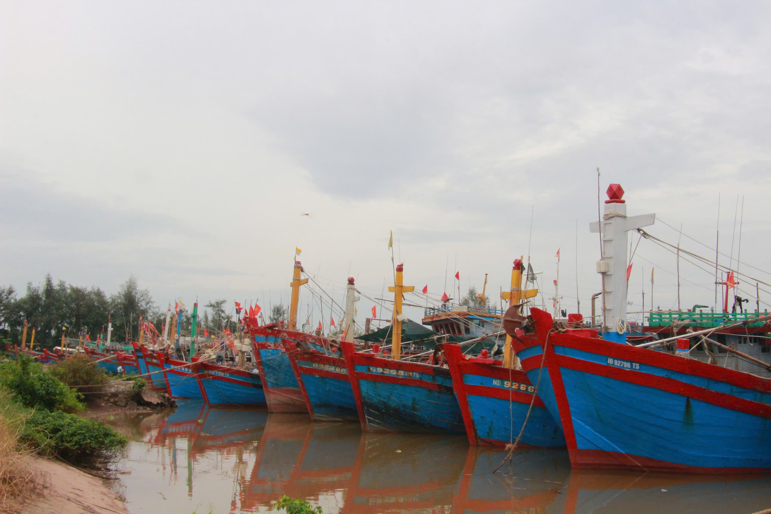 Thái Bình, Nam Định, Ninh Bình tập trung phòng, chống bão Yagi