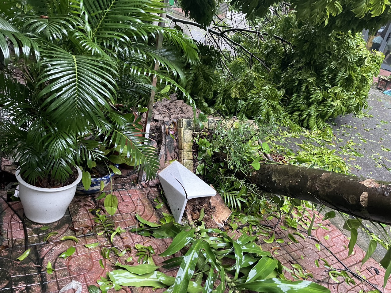 ​

​
Hà Nội Bão số 3 khiến 9 người thương vong, gần 500 cây xanh gãy, đổ