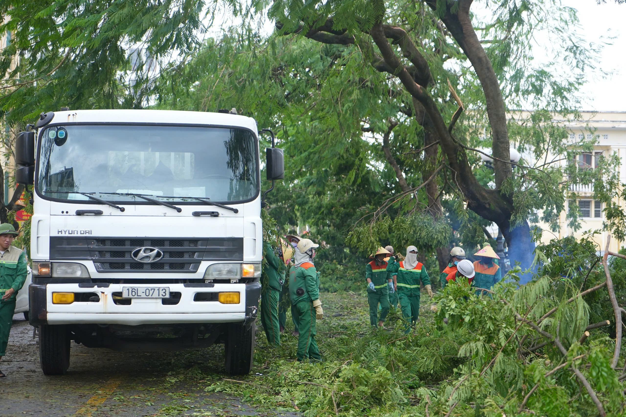 Hải Phòng Khẩn trương thu gom, dựng lại cây xây bị gãy, đổ sau bão số 3