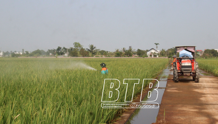 Khẩn trương khôi phục sản xuất nông nghiệp sau bão