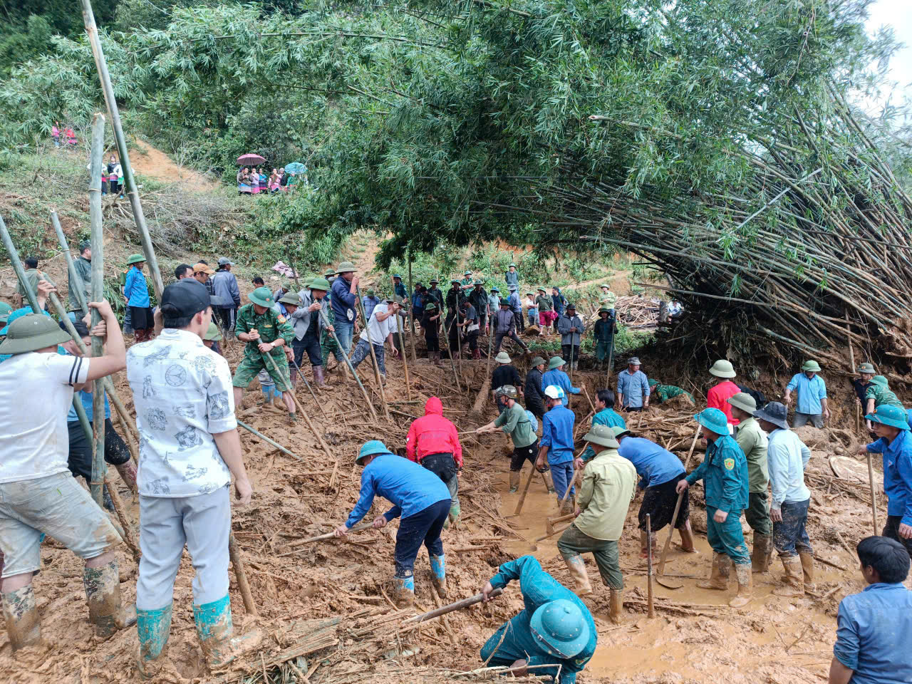 Mệnh lệnh từ trái tim