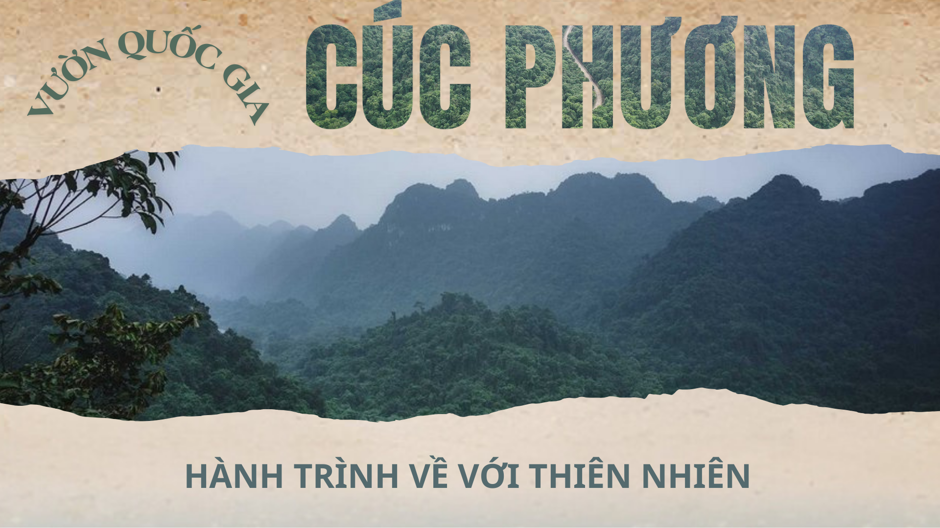 [Megastory] Vườn Quốc gia Cúc Phương Hành trình về với thiên nhiên